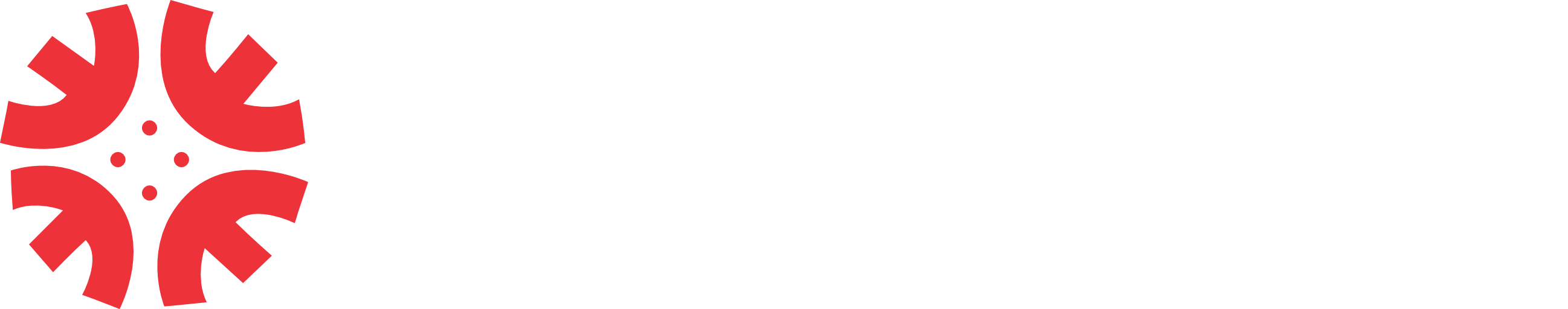 MiCRON TECHNOLOGY HOLDINGS